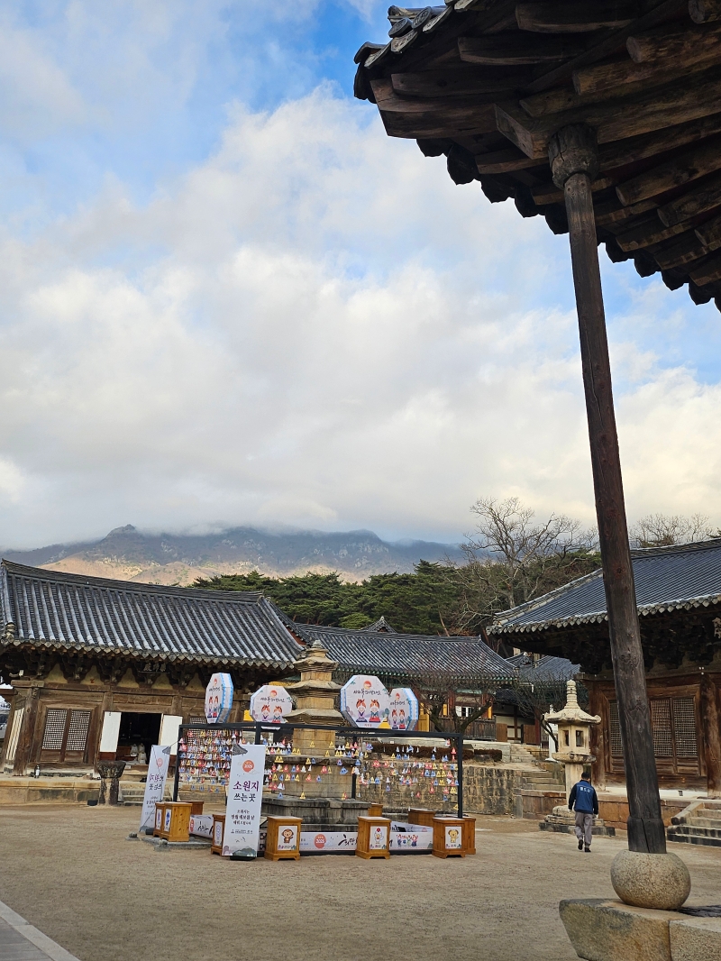 KakaoTalk_20251228_145932333_03.jpg 이미지