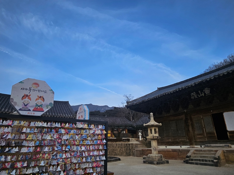 KakaoTalk_20260121_155527018_05.jpg 이미지