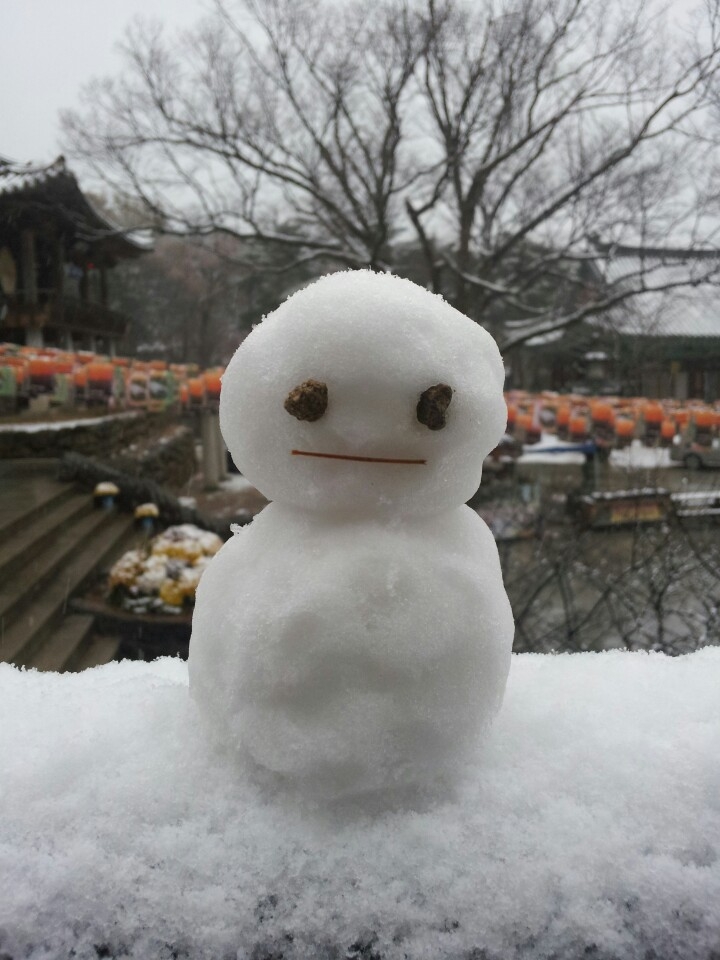 1385513726365.jpg 이미지