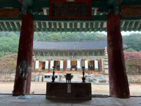 8cf12ec2-1ffe-49c1-af86-817d1ec13711.jpg 이미지